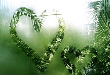 奥克兰选手在帆船比赛中力克对手获胜