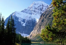 大象队连胜狂潮引起球迷狂欢